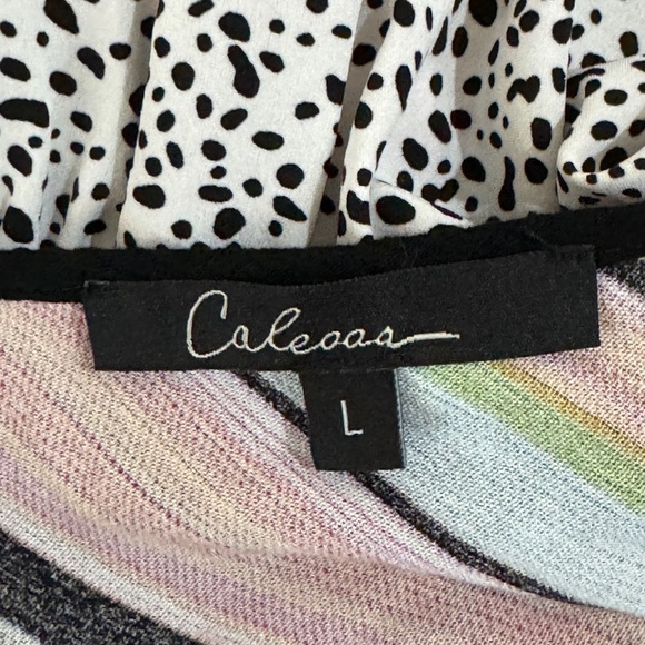 CALESSA EMBROIDERED FLORAL STRIPED SPLATTER DOT 3/4 SLEEVES TOP SZ L - Picture 3 of 6